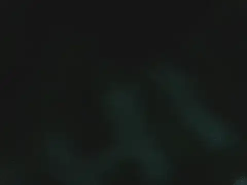 lonelycock33 online show from 15, 11, 2025