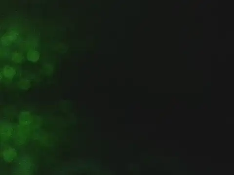 lonelycock33 online show from 7, 11, 2025