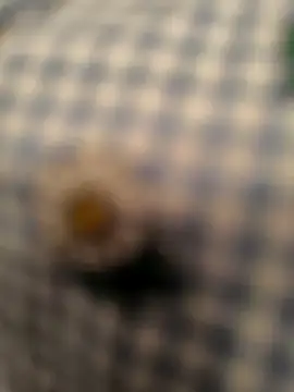 geilerboy2628 online show from 13, 3, 2026