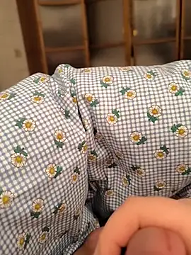 geilerboy2628 online show from 17, 4, 2026