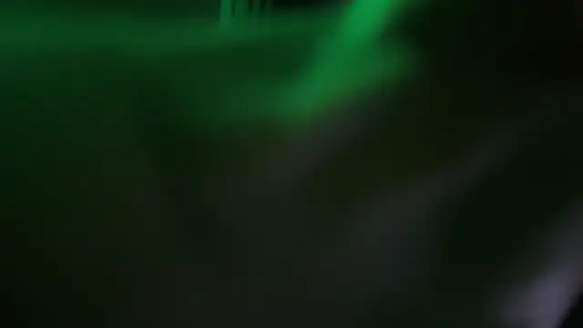 illaroom online show from 20, 2, 2025