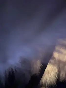 AnastasiaAniess online show from 14, 4, 2026