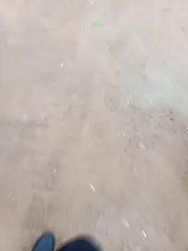 2soyte online show from 18, 1, 2026