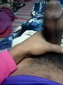 Bengali BULL1 online show from 6, 2, 2026