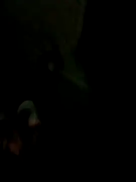 Bengali BULL1 online show from 17, 10, 2025