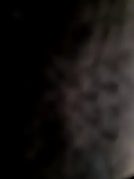 mogli444 online show from 8, 12, 2024