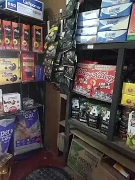 Kalani Engel online show from 19, 4, 2026