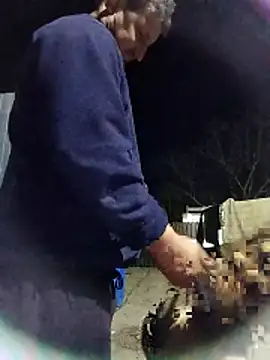 sarpe4 online show from 31, 10, 2025