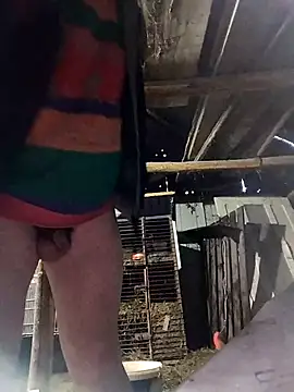 sarpe4 online show from 30, 3, 2026