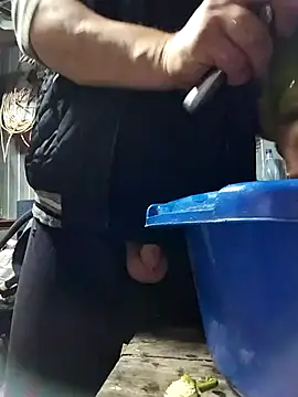 sarpe4 online show from 9, 10, 2025