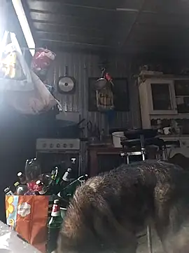 sarpe4 online show from 15, 2, 2026