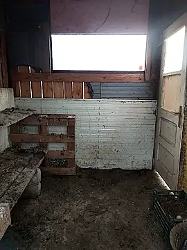 sarpe4 online show from 28, 2, 2026