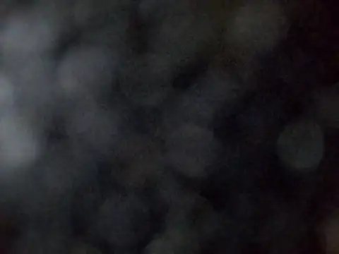 sarpe4 online show from 28, 3, 2026