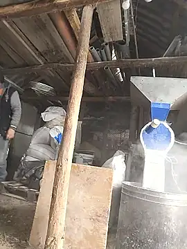 sarpe4 online show from 8, 1, 2026