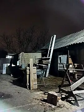 sarpe4 online show from 7, 11, 2025