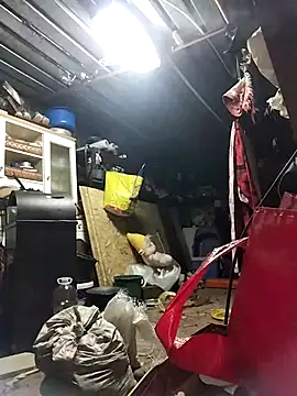 sarpe4 online show from 13, 10, 2025