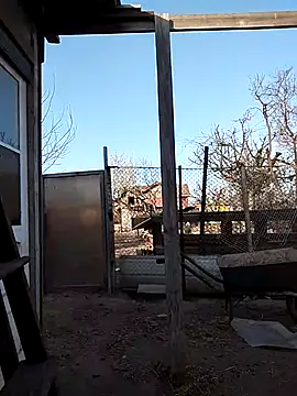 sarpe4 online show from 15, 4, 2026