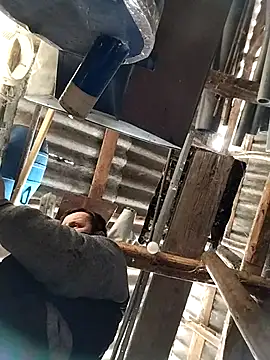 sarpe4 online show from 15, 1, 2026