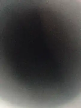 sarpe4 online show from 20, 4, 2026