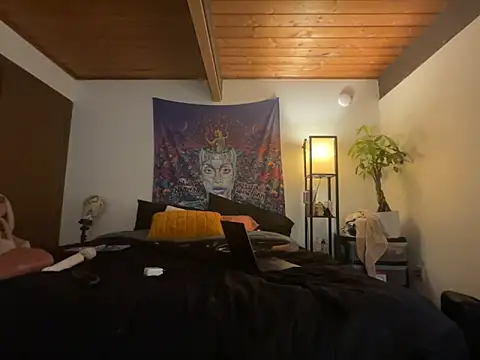 odbodu online show from 18, 2, 2026