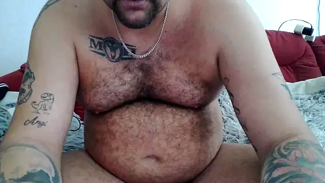 sexykevin17cm online show from 23, 5, 2026