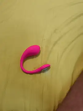 Bull8 online show from 30, 11, 2025