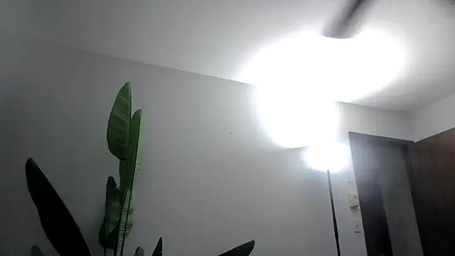 WetFlower69 online show from 16, 6, 2026