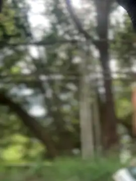 emma tour online show from 29, 11, 2025