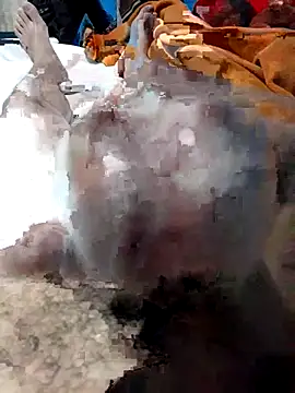 geroom online show from 16, 11, 2025