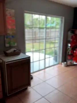 lovely beast online show from 15, 1, 2026