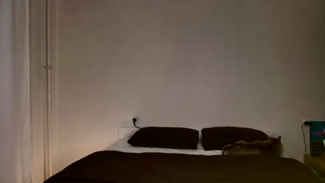 Milky   Way online show from 28, 11, 2025