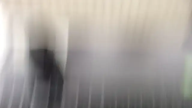  margaritka  online show from 2, 11, 2025