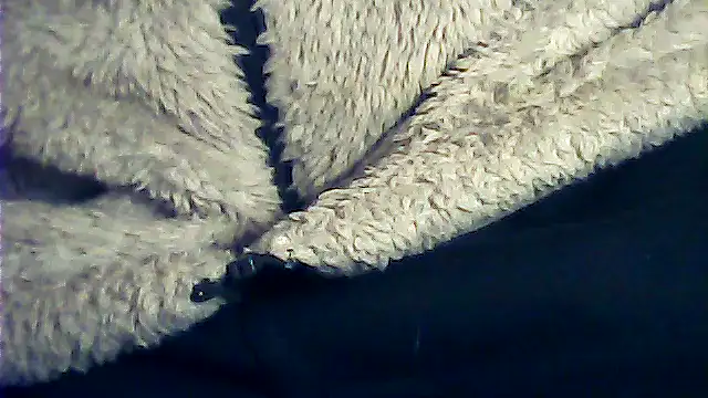 Snapshot of kalinixta chatting on 6, 1, 2026 kalinixta online show from 6, 1, 2026