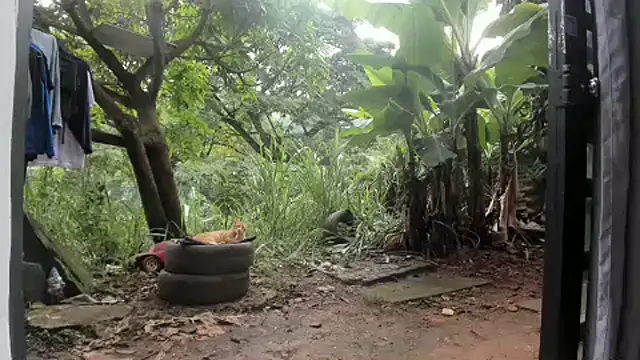 Snapshot of venusandzeus@xh chatting on 27, 2, 2025 venusandzeusxh online show from 27, 2, 2025