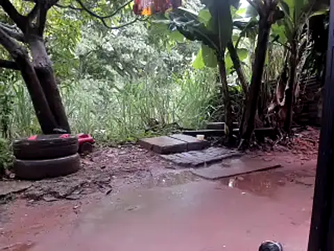 Snapshot of venusandzeus@xh chatting on 14, 10, 2025 venusandzeusxh online show from 14, 10, 2025