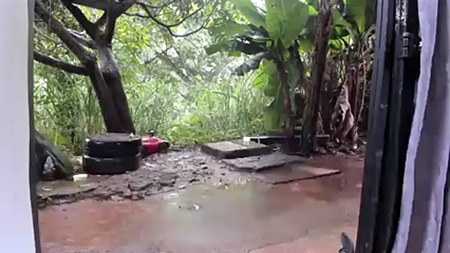 venusandzeusxh online show from 2, 12, 2025