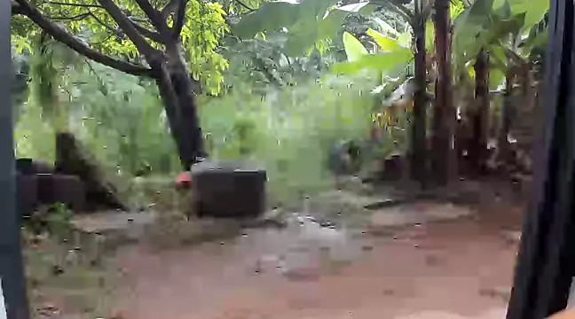 Snapshot of venusandzeus@xh chatting on 14, 12, 2024 venusandzeusxh online show from 14, 12, 2024