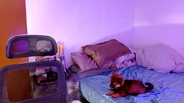 Snapshot of SweetLilly_18 chatting on 2, 11, 2025 SweetLilly 18 online show from 2, 11, 2025