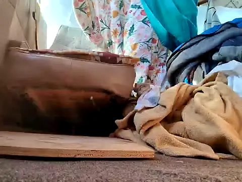 klamper online show from 28, 1, 2025