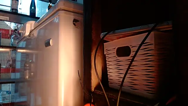 DAELAA online show from 10, 11, 2025