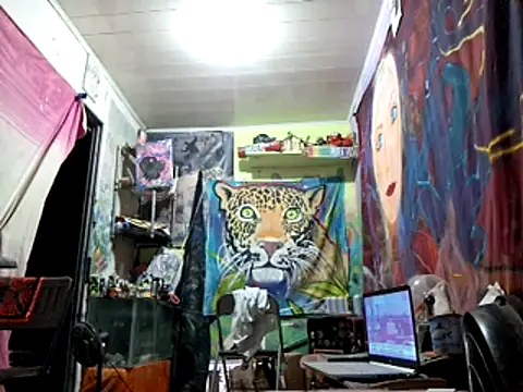 Toycockhot online show from 6, 3, 2025