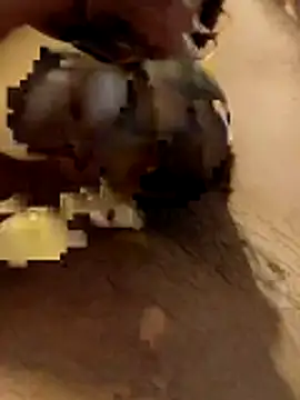 hq9870a online show from 29, 11, 2025