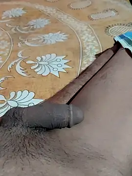 hq9870a online show from 8, 11, 2025