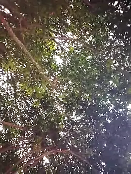 Brenda Berck  online show from 5, 4, 2026