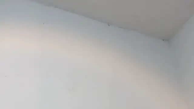 dalilasquirt1 online show from 11, 2, 2026