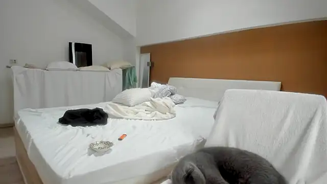 woolfiie online show from 16, 10, 2025