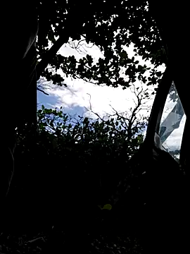 Luna-Natural online show from 21, 12, 2025