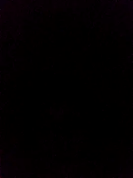 rus333 online show from 19, 12, 2024