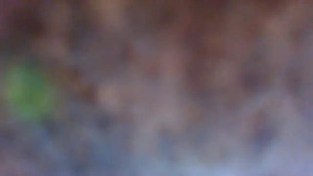 Snapshot of Hunzi123 chatting on 7, 6, 2026 Hunzi123 online show from 7, 6, 2026