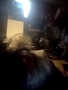 trucker1979 online show from 27, 9, 2025